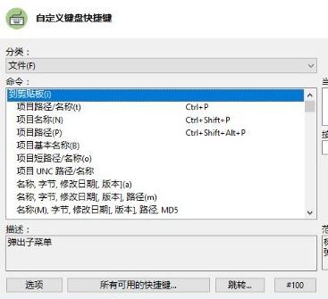XYplorer PRO中文注册版快捷键使用2